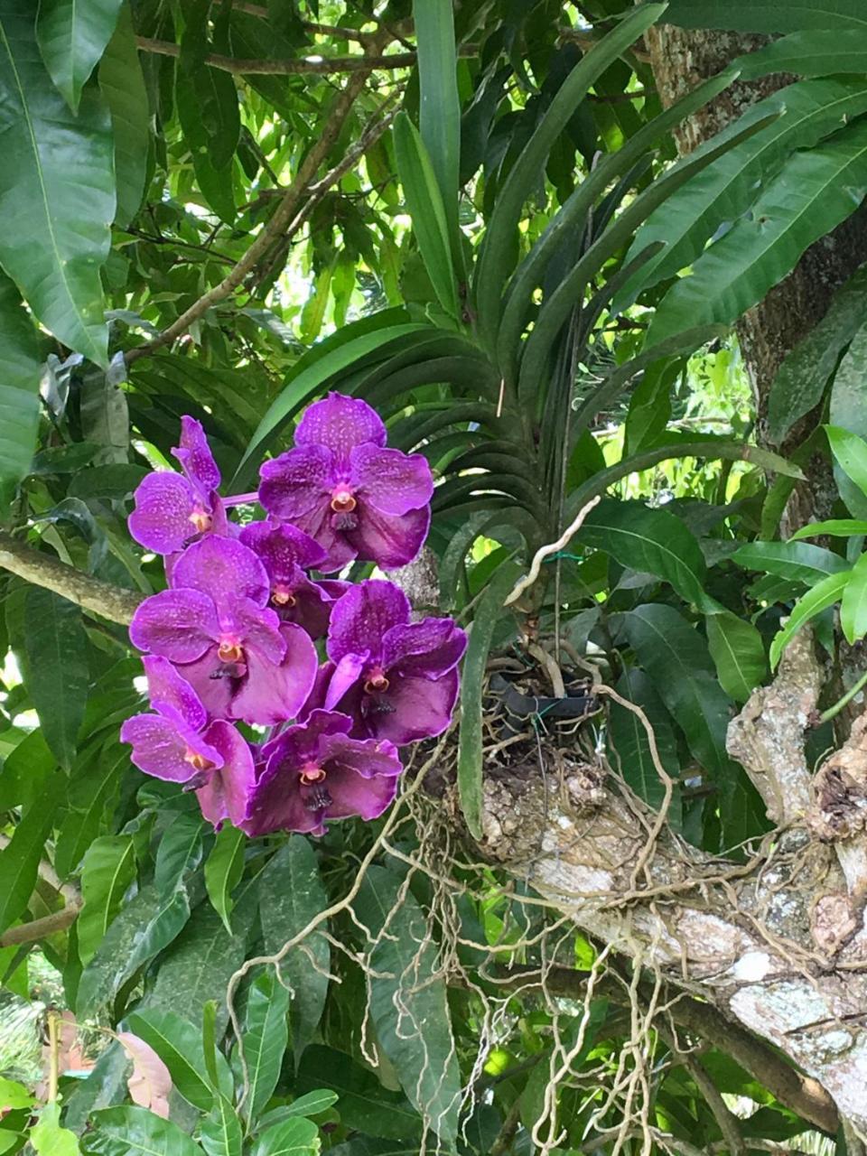 Villa La Loma 콘셉시온 데 라 베가 외부 사진